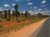Новость : Австралия признала свои дороги небезопасными